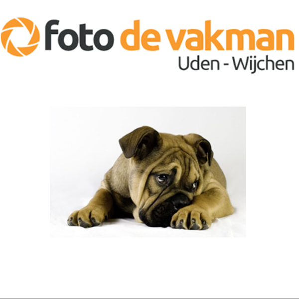 039 - Basis cursus / workshop, digitale fotografie.